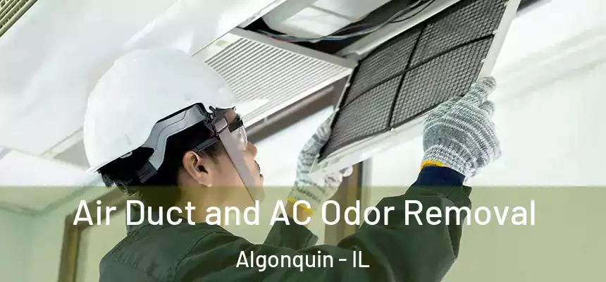  Air Duct and AC Odor Removal Algonquin - IL