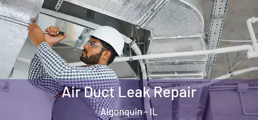  Air Duct Leak Repair Algonquin - IL