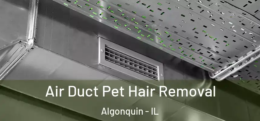  Air Duct Pet Hair Removal Algonquin - IL