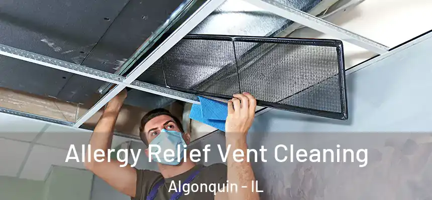 Allergy Relief Vent Cleaning Algonquin - IL