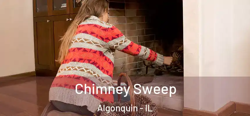  Chimney Sweep Algonquin - IL