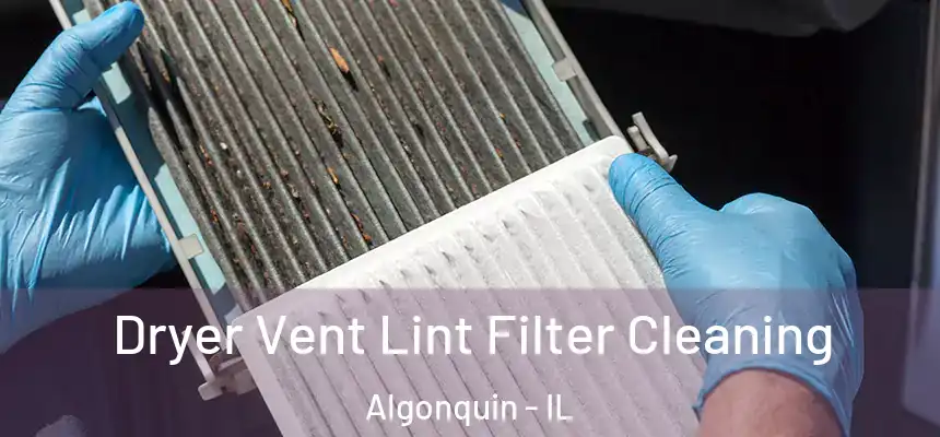  Dryer Vent Lint Filter Cleaning Algonquin - IL