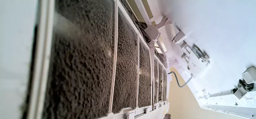 Preventive Air Duct Bacteria Removal in Algonquin