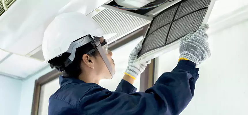 Our Mold & Mildew Removal from Air Ducts Services in Algonquin, IL