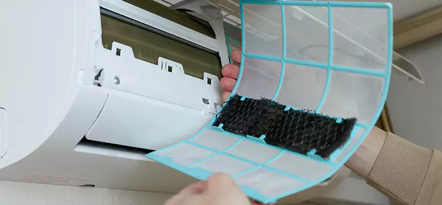 Gentle Ductwork Odor-Control Pet Dander Duct Cleaning in Algonquin, IL