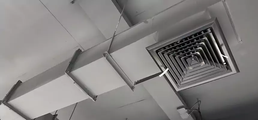 Our Rodent Droppings In Vents Services in Algonquin, IL