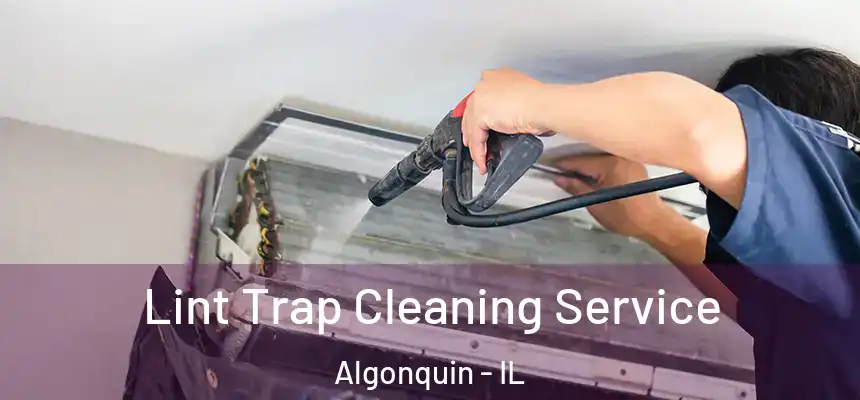  Lint Trap Cleaning Service Algonquin - IL
