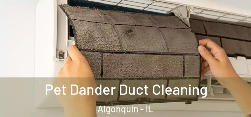  Pet Dander Duct Cleaning Algonquin - IL