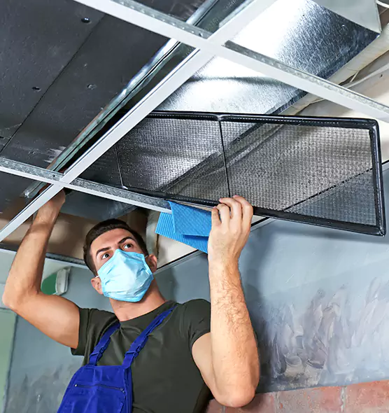 About Air Duct Bacteria Removal in Algonquin
