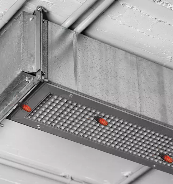 About Air Duct Cockroach Removal in Algonquin, IL