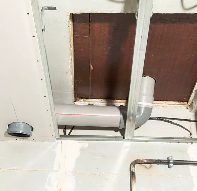 Why Homeowners & Businesses Trust Us in Algonquin, IL?