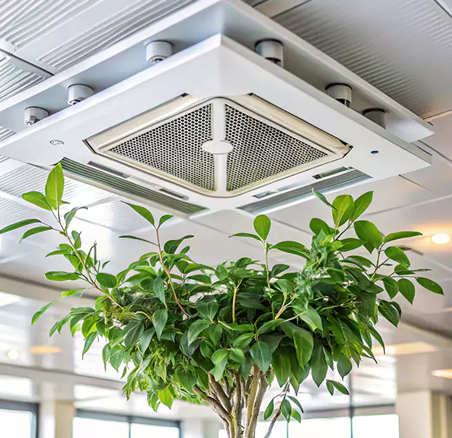 Why Homeowners & Businesses Trust Us in Algonquin, IL?