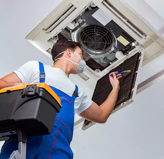 Why Homeowners & Businesses Trust Us in Algonquin, IL?