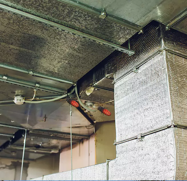 Why Homeowners & Businesses Trust Us Algonquin, IL?