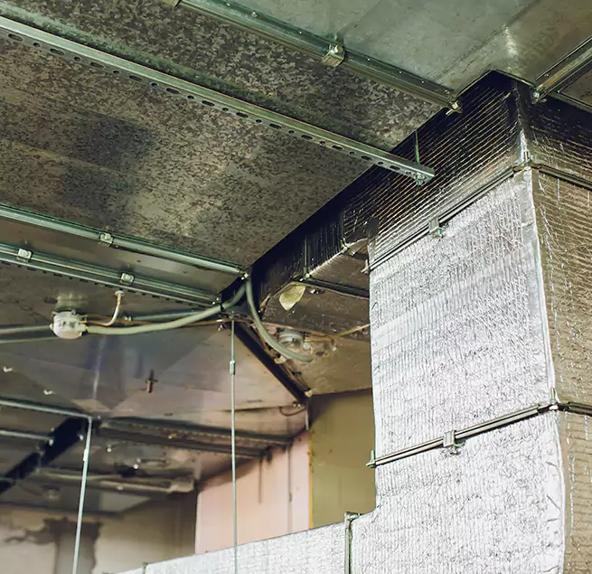 Why Homeowners & Businesses Trust Us in Algonquin, IL?